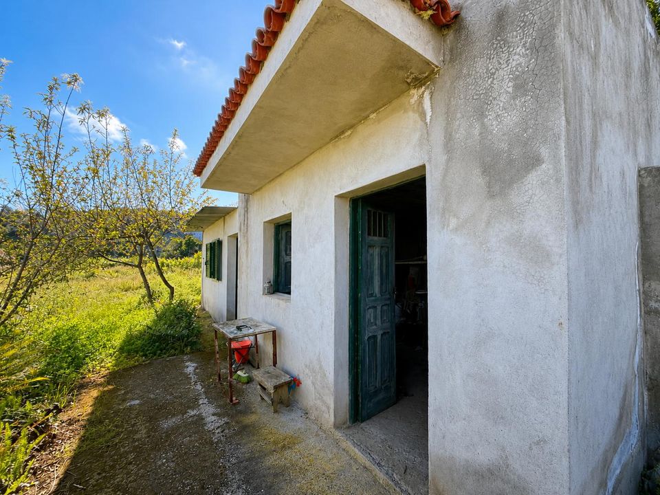 Finca i La Florida, Tenerife - foto 4
